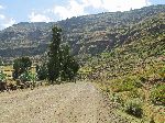Vista, Gashena-Lalibela road, Ethiopia