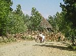 People and traditional house (turkel), Gashena-Lalibela road, Ethiopia