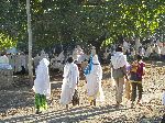 Religious prossession, Lalibela, Ethiopia