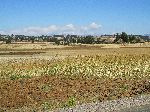 Vista, China Road, B-22, Ethiopia