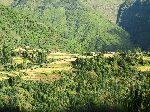 Forest and farmland, China Road, B-22, Ethiopia