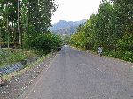 Forest, China Road, B-22, Ethiopia