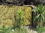 Corrugated metal fence painted to look like bamboo