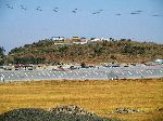 Horticulture project, Sulutan, Ethiopia