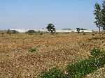 Horticultural project, Bahir Dar, Ethiopia