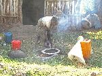 Traditional Ethiopian woman cooking injera, near Hamusit, Bahir Dar, Ethiopia