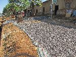 Sunflower seeds drying, Hamusit, Ethiopia