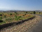 Plateau south of May Ts'ebri, Ethiopia