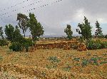Typical stone house, Gheralta district, Tigray, Ethiopia