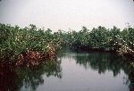 Ghana, small river in the Western Province