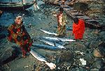 Ghana, Dixcove, marlin fish