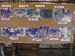 CRIG (Cocoa Research Institute of Ghana), cocoa processing