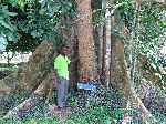 Ghana, Bunso Arboretum