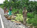 Ghana, selling corn at the road side