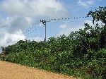 lineman up a power pole string new power distribution lines.