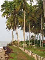 Ghana, Elmina, beach at Stumble Inn