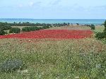Morocco coast, south of Casablanca