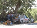 Selling oranges on the road side, Morocco coast, south of Casablanca.