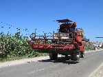 Combine harvester, Morocco coast, south of Casablanca