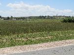 Farmland, Morocco coast, south of Casablanca