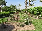 Garden, Koutoubia Mosque, Marrakesh, Morocco