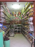 Apothecary shop, Mellah, Marrakesh, Morocco