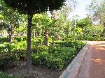 Garden, Cyber Park, Marrakesh, Morocco