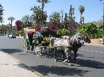 Horse drawn carriage, Marrakesh, Morocco