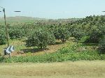 Western slope of the Atlas Mountains, east of Marrakech, Morocco