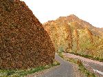 Kalaat M'Gouna (Valley of the Roses), Morocco