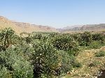 Ziz River Valley, Errachidia-Er Rich road, Morocco