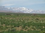 Snow dusted Atlas Mtn, Morocco, Apr 2015