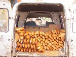 Bread delivery, Midelt, Morocco