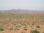 Long piles of mine tailings, Zaida, Morocco