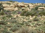 Roadside, Ait Karmosse, Fès-Boulemane Region, Morocco