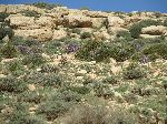 Roadside, Ait Karmosse, Fès-Boulemane Region, Morocco