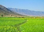 Middle Atlas, through the Fès-Boulemane Region, Morocco