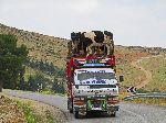 Middle Atlas, through the Fès-Boulemane Region, Morocco