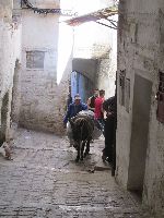 donkey in narrow street in the medina, Fez, Morocco