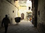 Donkey transport in narrow streets, Fez, Morocco