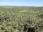 Farm in the forest, Fes-Ifran, Morocco