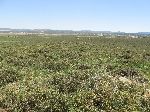 Countryside, Ifrane, Morocco