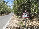 Parc National d'Ifrane, Morocco