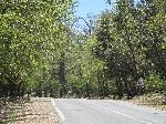 Parc National d'Ifrane, Morocco