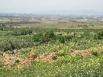 Countryside, El Hajeb, Morocco