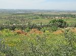 Countryside, El Hajeb, Morocco