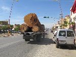 Logging truck, Boufekrane, Meknes, Morocco