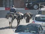 Moulay Idress, Morocco