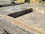 Marine mosaic, House of Orpheus, Volubilis Roman Ruins, Morocco