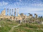 Capitoline Temple and Basilica, Volubilis Roman Ruins, Morocco